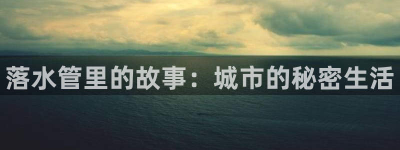 威九国际游戏入口