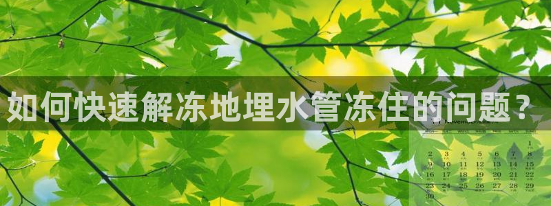 威九国际78m九妹