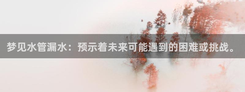 威九国际ppt官网