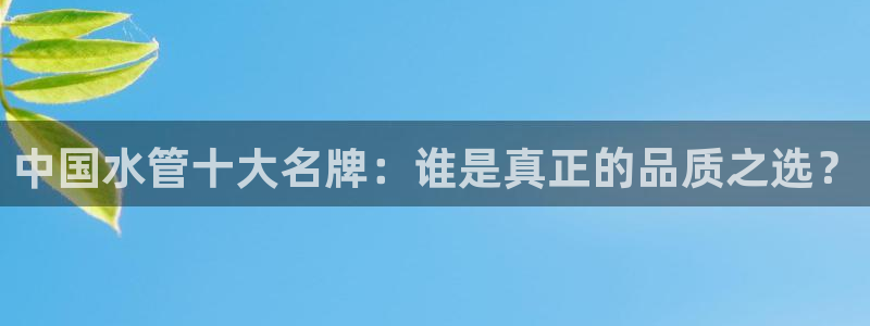 威九国际网站