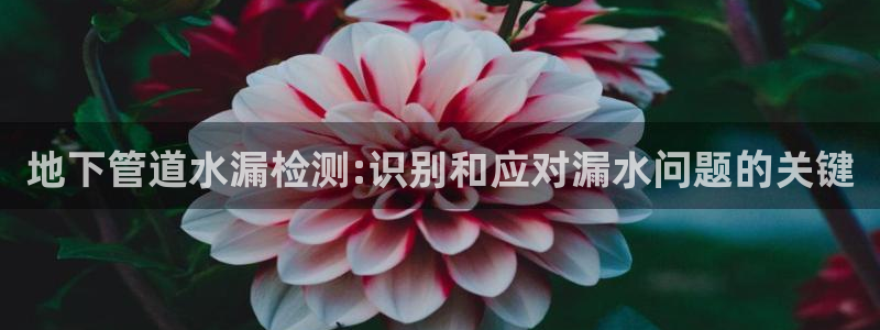 威九国际取款不会被骗吧