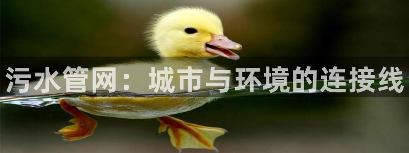 威九国际78m域名