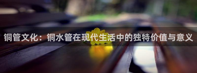 威九国际v96bet官网版