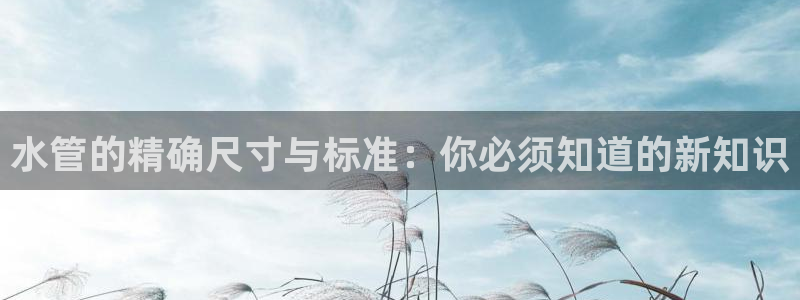 威九国际精甜心诗词网彩片甜心网甜心诗词网