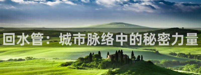 威九国际网站怎么样知乎