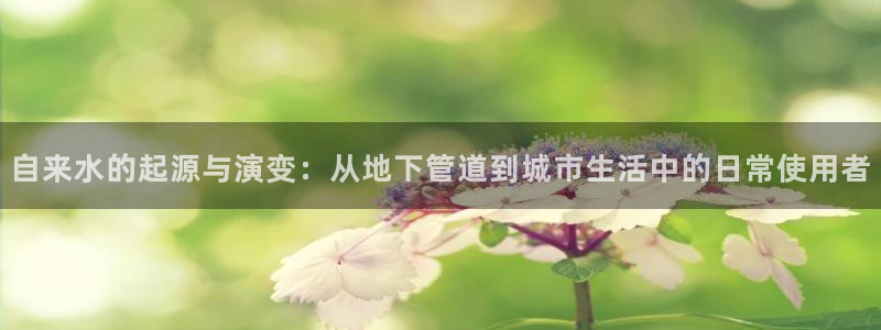 威九国际精选酒店地址