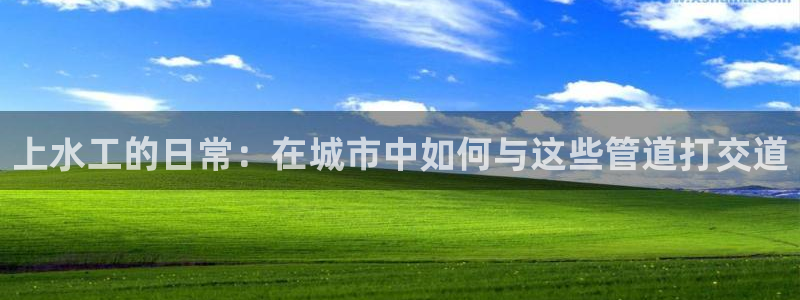 威九国际网站进入客服中心了吗