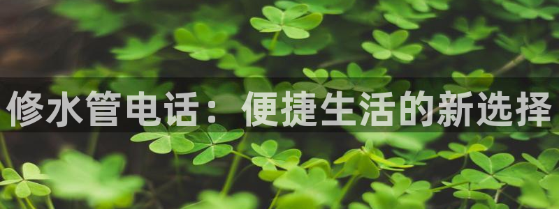 威九国际的女主