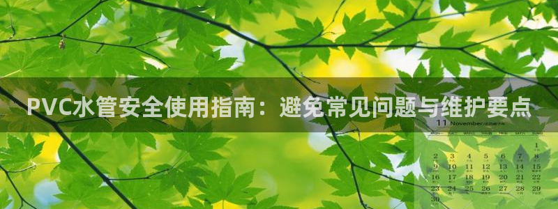 威九国际66m免费版