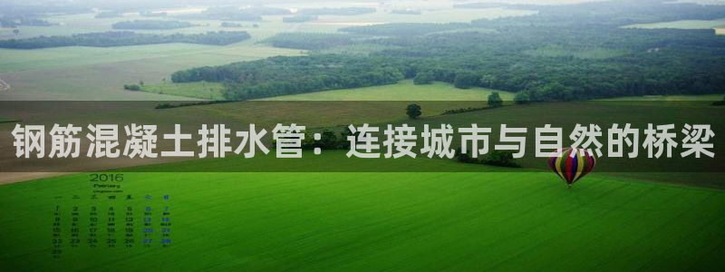威九国际v9