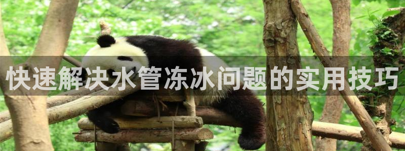 威九国际成长模式