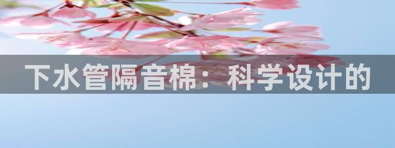 威九国际女