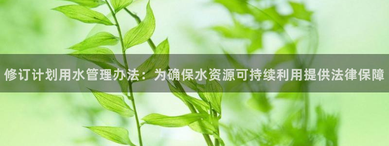 威九国际官方网站最新版本更新内容介绍