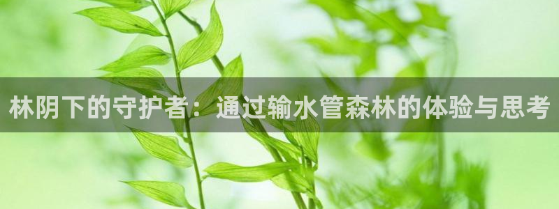 威九国际取款不会被骗吧是真的吗