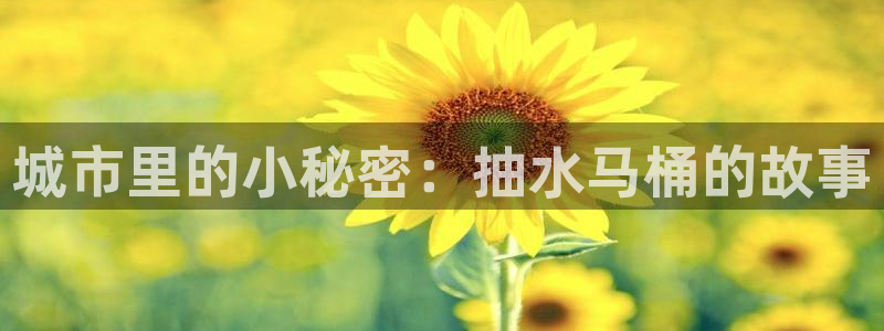 威九国际小说