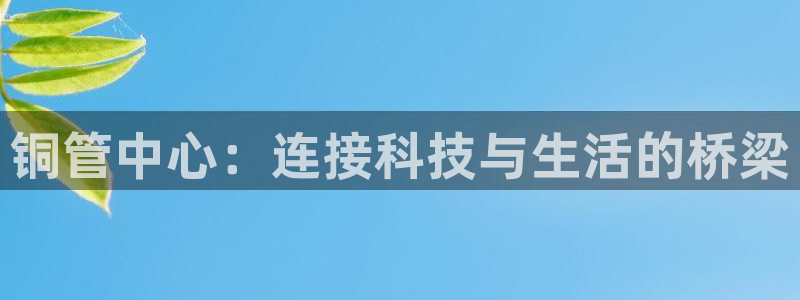 威九国际犯法吗