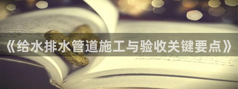 威九国际女明星