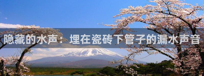 威九国际可以退钱吗怎么退款