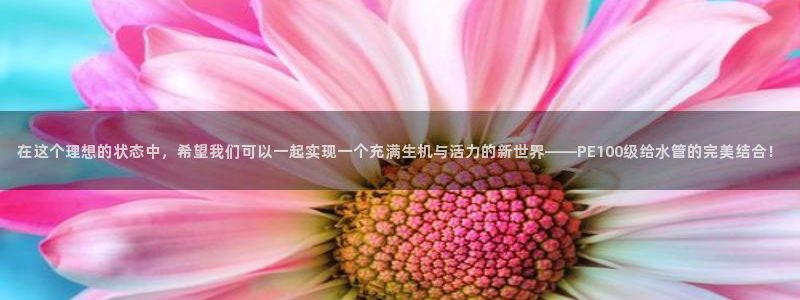 威九国际网站怎么样可靠吗