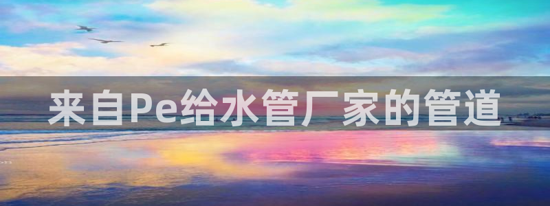 威九国际FT