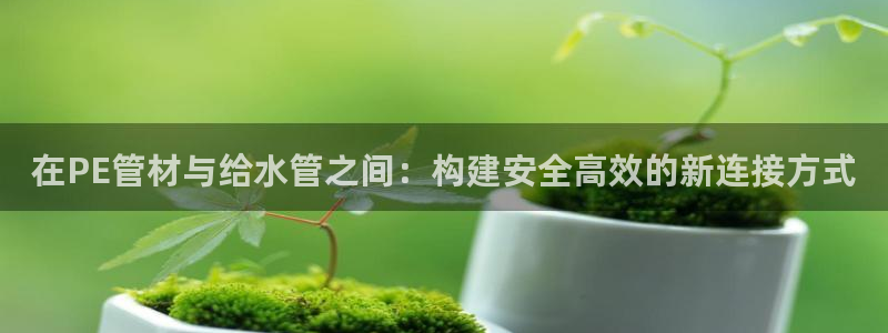 威九国际网站客服电话多少啊