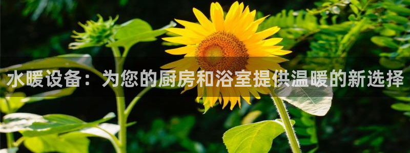 威九国际网站安全吗可靠吗