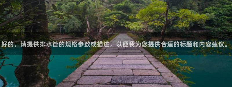 威九国际女主角