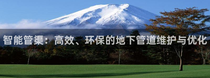 保定威九网络科技有限公司电话