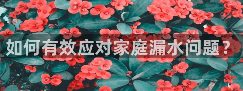 威九国际网站链接怎么打开