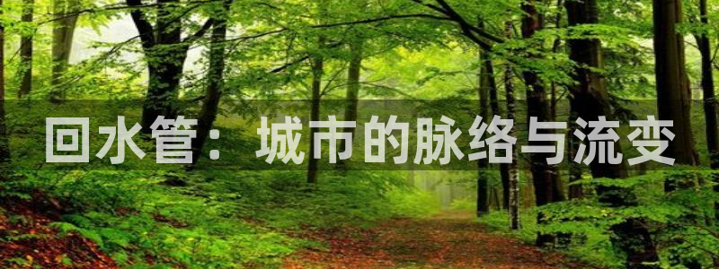 威九国际的网站入口在哪里