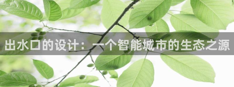 威九国际黑钱