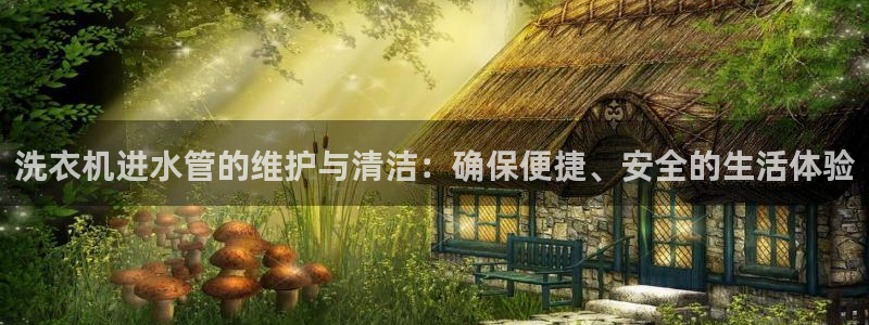 威九国际天美