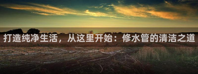 威九国际网站更新了吗