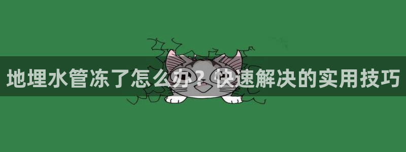 威九国际78m九妹