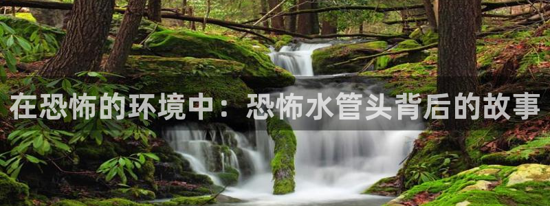 威九国际客服电话是多少
