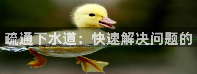 威九国际女神