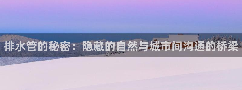 保定威九网络科技有限公司怎么样