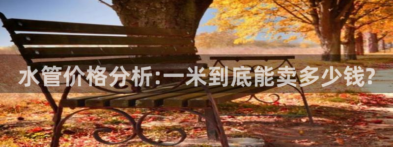 威九国际网站在哪里