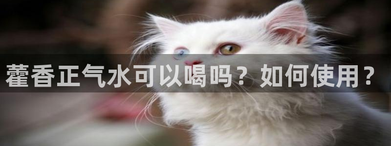 威九国际网站链接