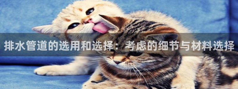 威九国际78mann