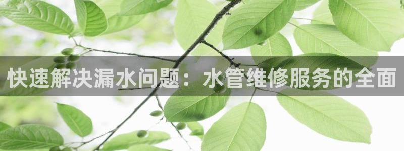 威九国际清砖码