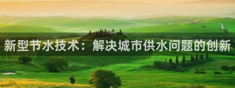 威九国际天美