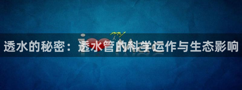 威九国际v96242cc官网版