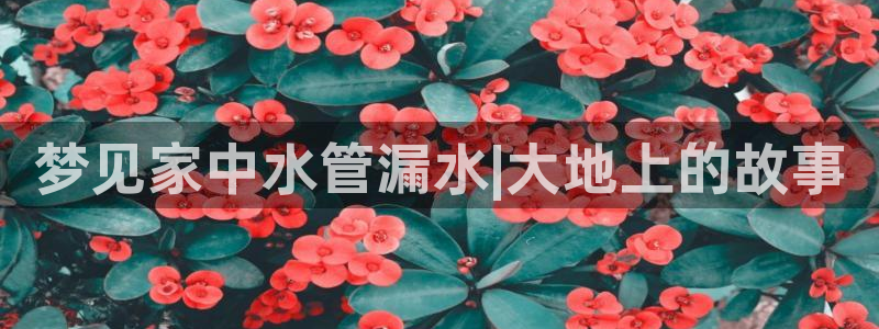 威九国际78免下载