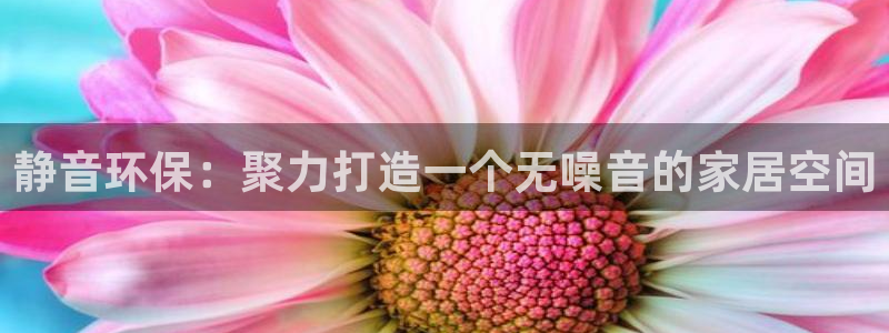 威九国际ppt官网