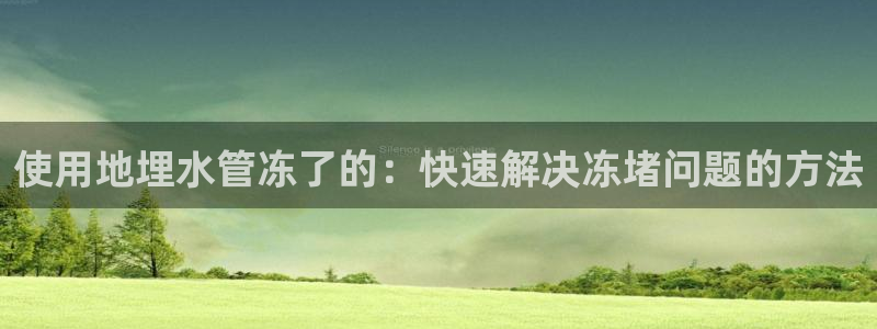 威九国际A