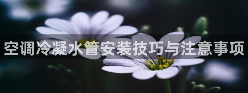 威九国际体育app下载