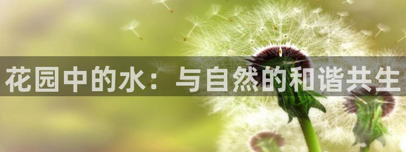 威九国际免费ppt网址