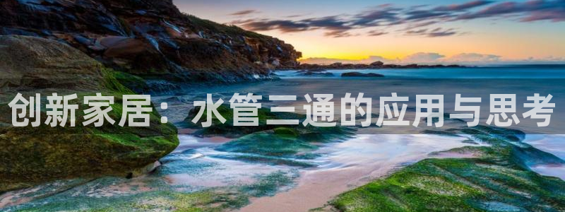 威九国际成长模式怎么样
