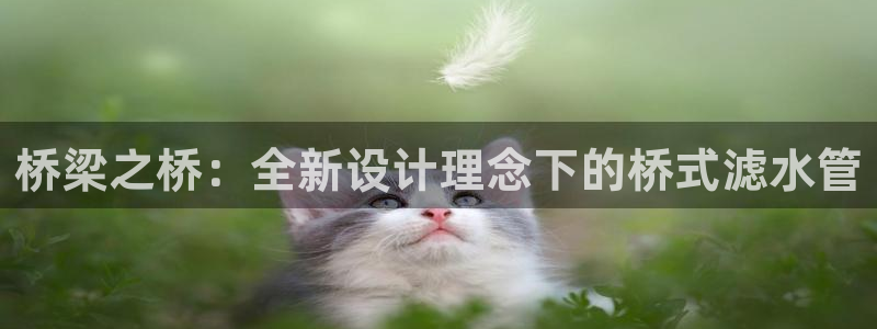 威九国际游戏网站